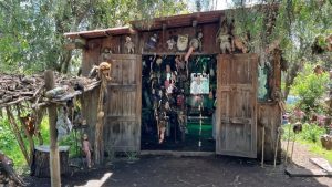 75 Yıldır Aynı Adadalar Ama Hepsi “Ölü” Sayılıyor: Şaşırtan Gerçek